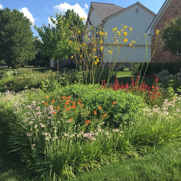 Compilation of Rain Garden Projects