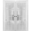 French Double Pocket Doors 48 x 80 Glass | Felicia 3312 Matte White | Frame