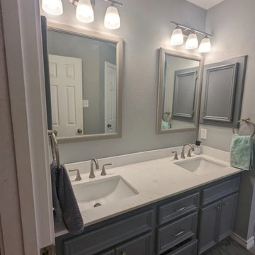 Austin's Colony Master Bath Remodel