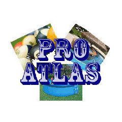Pro Atlas Inc.
