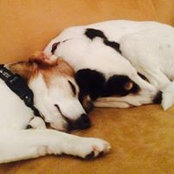 Sharon Enright's photo