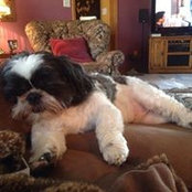 Carol Daugherty Bennett's photo