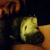 Scott Buchanan's photo