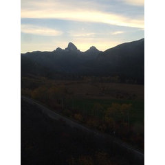 MCO Contractors