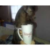 Vickey Grabowski's photo
