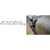Wendy Wetherill's photo