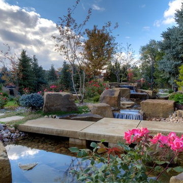 Oasis Amongst the Evergreens