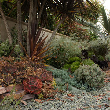 Mediterranean Paradise Garden, Coronado, California