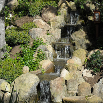 Japanese Garden