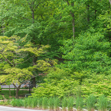 Silver Spring Renovation