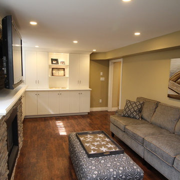 Basement recreation room with new stone fireplace and built-ins