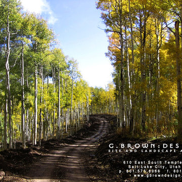 High Mountain Residential Landscape Design
