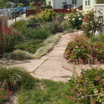 Maximizing Santa Cruz Real Estate