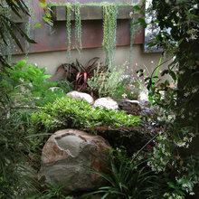 Nia Surprise - Internal Garden Ideas