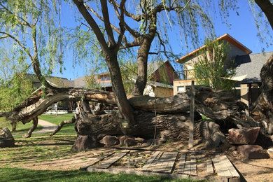 Photo of a large backyard landscaping in Boise for spring.