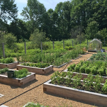 Vegetable Garden