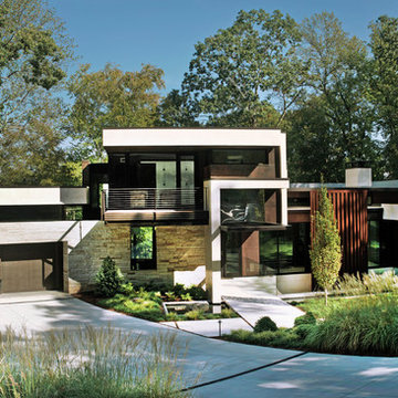 Modern Lines