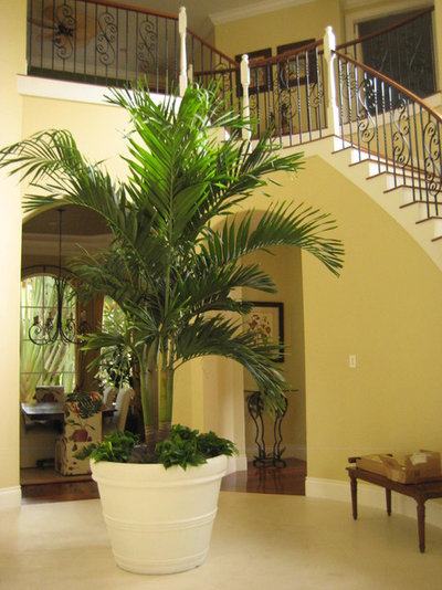 Средиземноморский Лестница by Plantique Inc, Interior PlantScapes