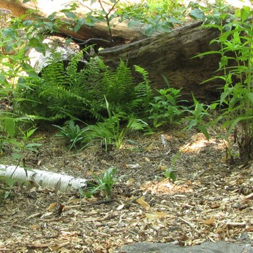 Naturalized Areas