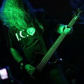 Reece Bevans foto