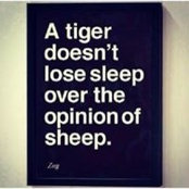 Foto de Anika Powers-Echols
