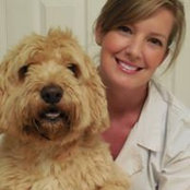 Stacey Hutchison's photo