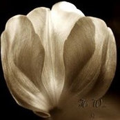 Houston Wells's photo