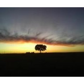 Foto von Tonya Yetter