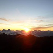 Michele Show's photo