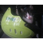 Cat Tuong's photo
