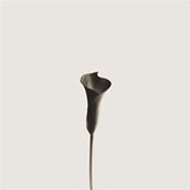 Sepp Teo's photo