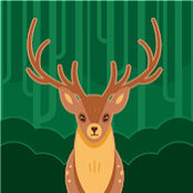 Darren Mcdonald's photo