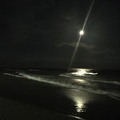 Deirdre Powe's photo