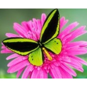 Amy Smart's photo