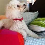 Susie Chan's photo