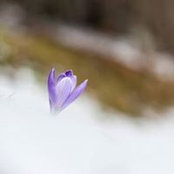 Ivana Fabris's photo