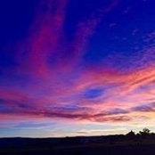 Nancy Larson's photo