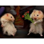 Connie Kuhns's photo