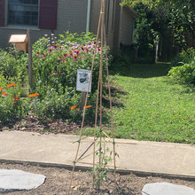 gardening