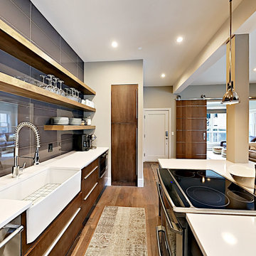 Mountain Modern Condominium