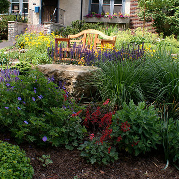 Shade to Sun - A Journey of a Perennial Garden