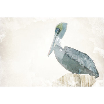 "Watercolor Pelican" Canvas Art, 24"x16"