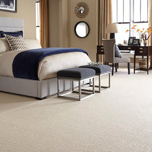 Master Bedroom - Carpet