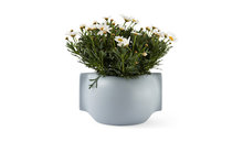 Complementi d'arredo