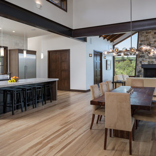 アルバカーキのコンテンポラリースタイルのLDKの画像 (淡色無垢フローリング、標準型暖炉、石材の暖炉まわり)