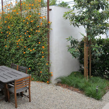 Privacy Screens