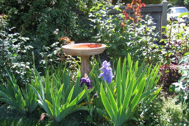 This is an example of a modern landscaping in Santa Barbara.