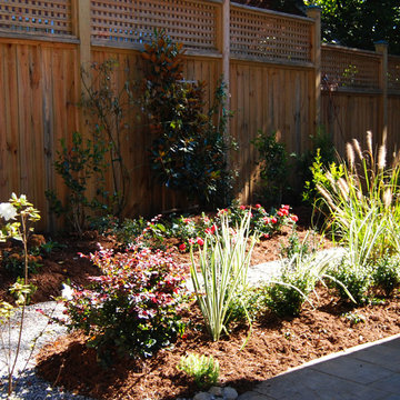 Side Courtyard Garden
