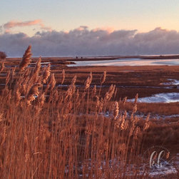 Scituate Prints - Prints And Posters