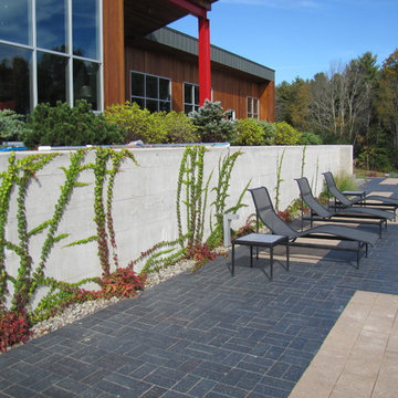 Lower Terrace with  Newly Planted Retaining Wall